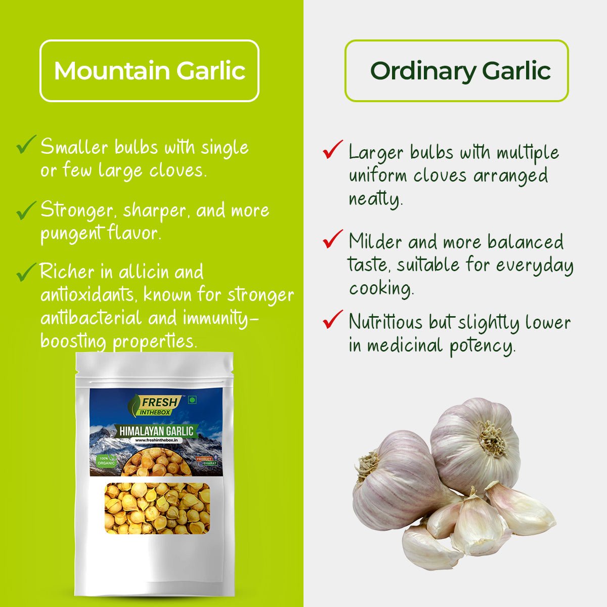 Mountain Garlic - FRESHINTHEBOX