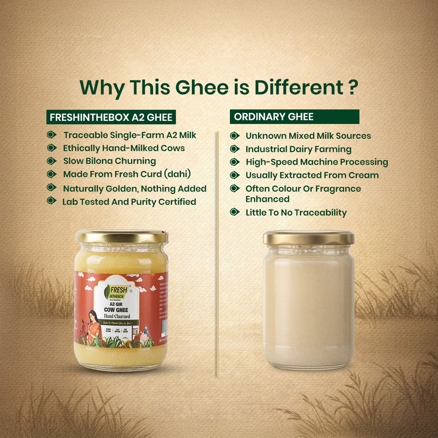 A2 Gir Cow Ghee | The "Bilona" Truth